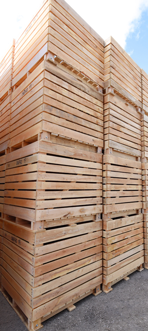 Boites à légumes | Léo Mailhot inc.