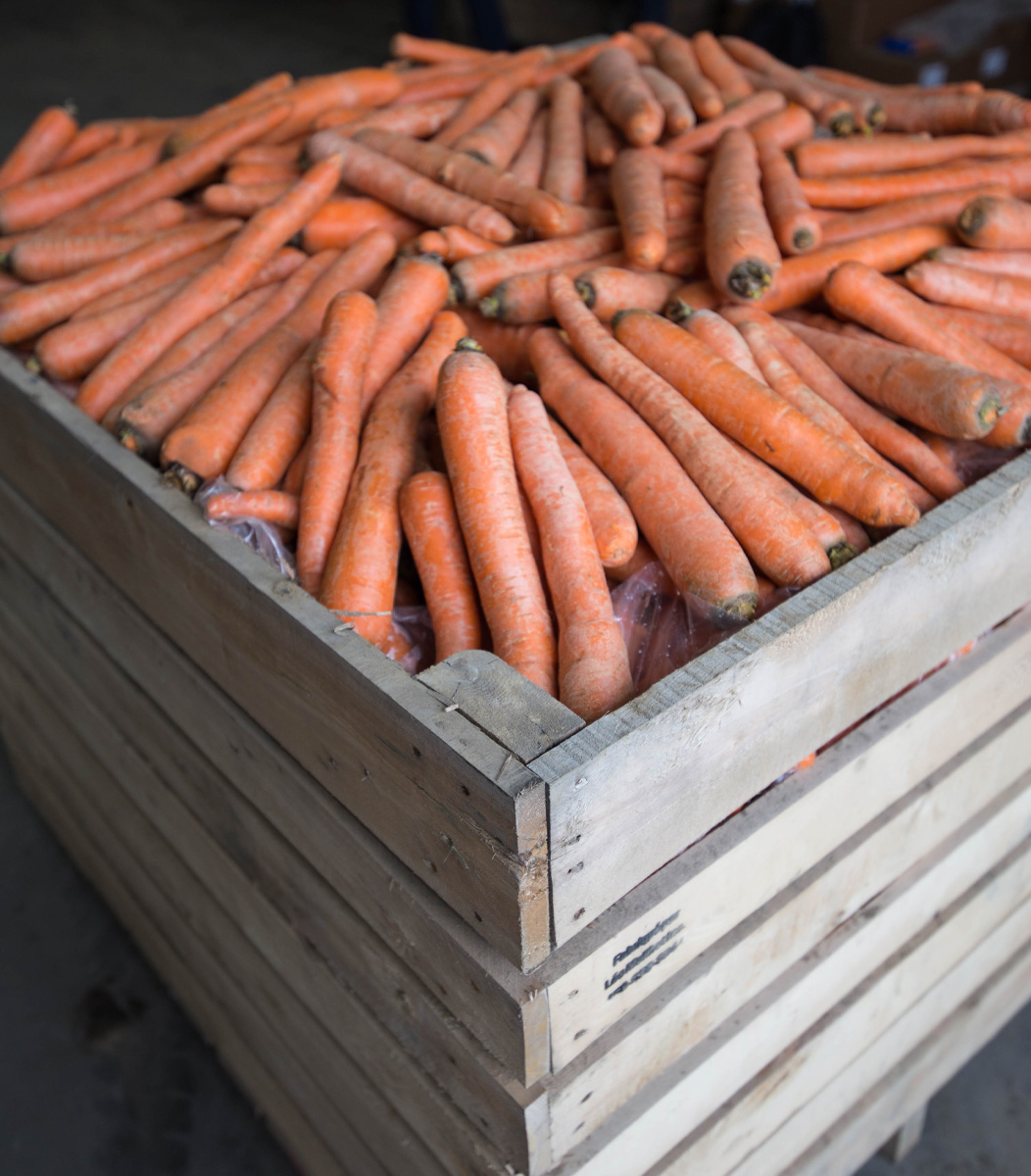 Boite à légumes | Léo Mailhot inc.