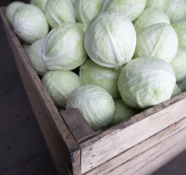 Boites à légumes | Léo Mailhot inc.