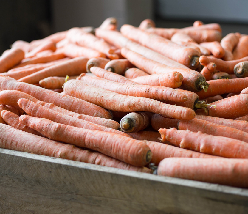 Boites à légumes | Léo Mailhot inc.
