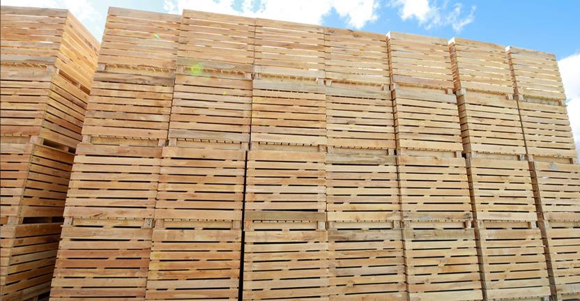 Boites à légumes | Léo Mailhot inc.